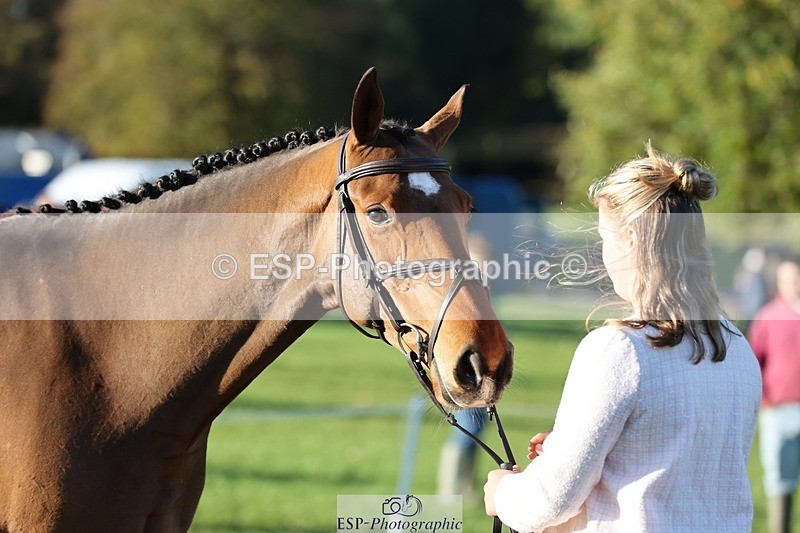 241027-090223-14984 - 328-Zara.Head-FOURFIELDS.LOVEHEART