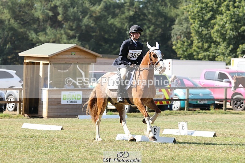 250823A-110143-27601 - Arena C