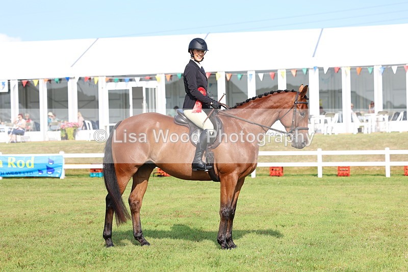 3E7A8386 - Class 2: Rising Star Large Hack/Riding Horse