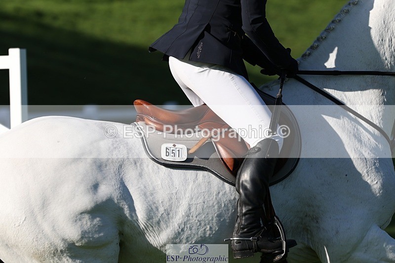 231022-105457-24834 - 651-RATHNAGREW.GREY.TEX-Nicola.Horsley-gubbins-TrotUp+SJ