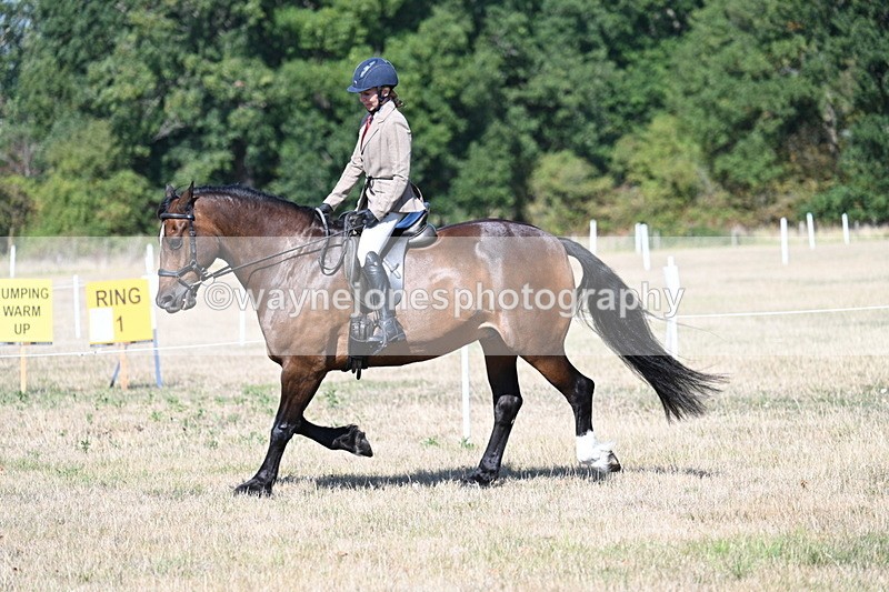 WJ7_3922 - Class 9 Mountain & Moorland Ridden
