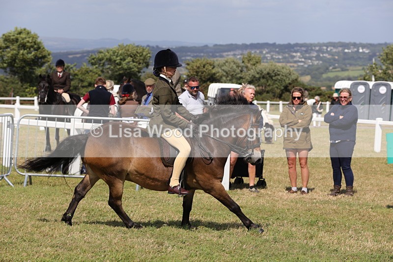 1X9A5587 - Class 39: NPS Dartmoor, Exmoor, Shetland