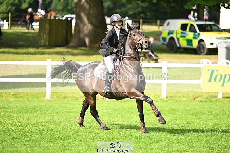 250615A-091520-09400 - Cls 35 Foxhunter