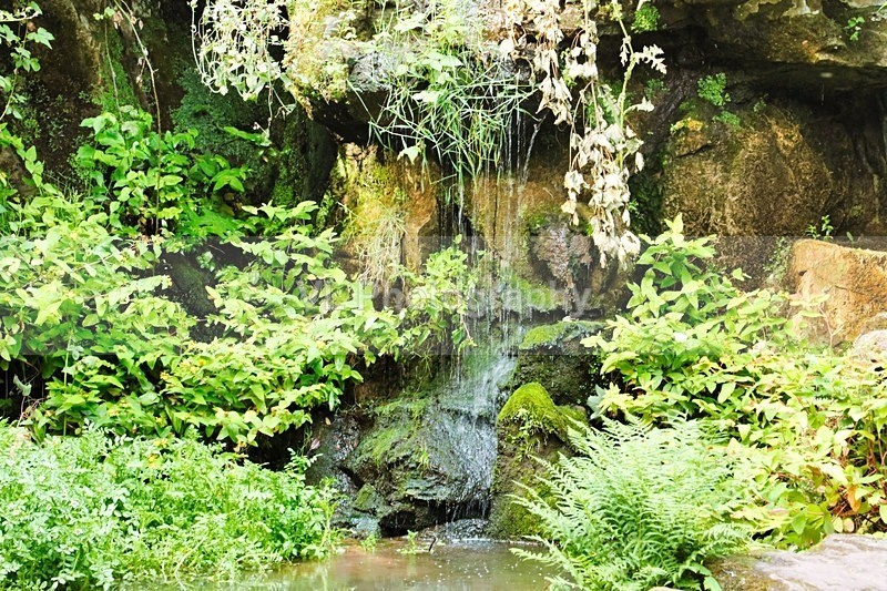 Fairy Glen - Liverpool
