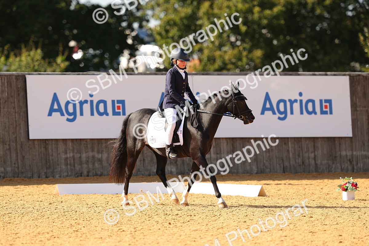 SBM_48453 - D22 - Junior Championship - Intro B