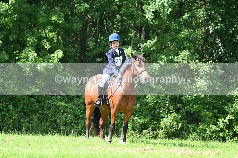 WJ7_1053 - Class 11 Condition & Turnout