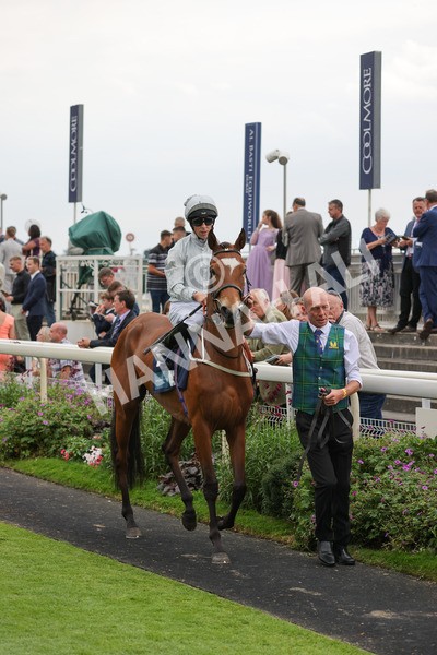 yr20082021r5-7 - Race 5 4.10pm British Stallion Studs EBF Convivial Maiden Stakes (Plus 10 Race)