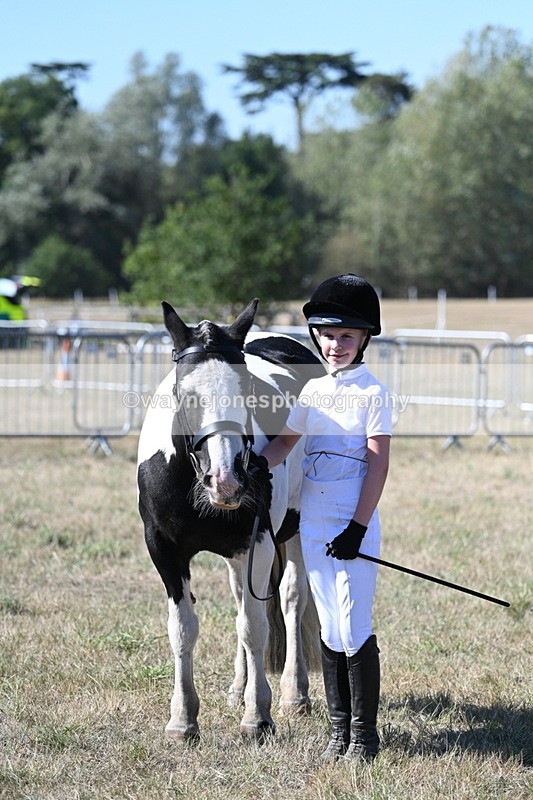 WJ7_1917 - Class 43 Best Six Legs (In hand)
