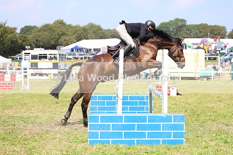 3E7A2876 - Class 7: Senior British Novice/90cm open