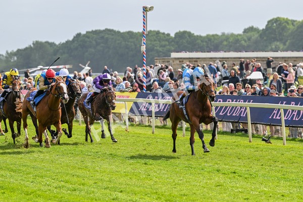 150525-Pride Of Arras-4676 - Race 4 3.45pm Al Basti Equiworld Dubai Dante Stakes