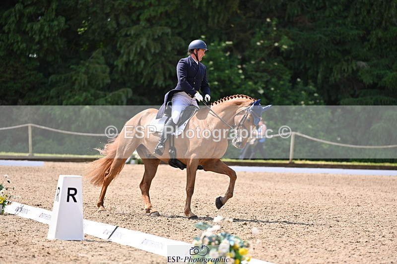 250523A-113656-06594 - C-273-Tim.Cheffings-HEARSAY.LARK.RISING