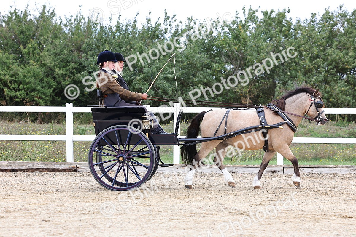 SBM_000403 - Class 4 - Junior Whip