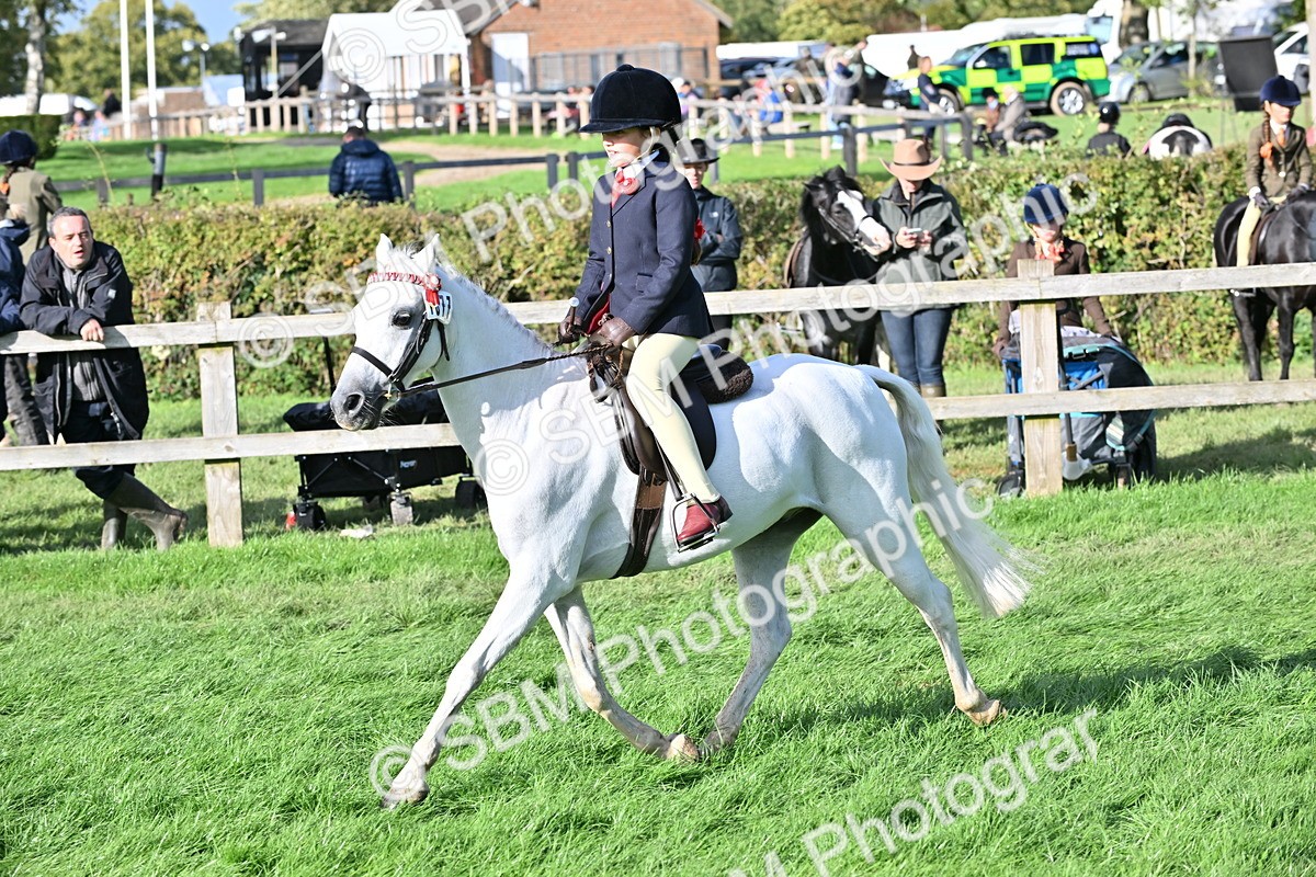 SBM_51255 - S22 - First Ridden show and show Hunter Pony