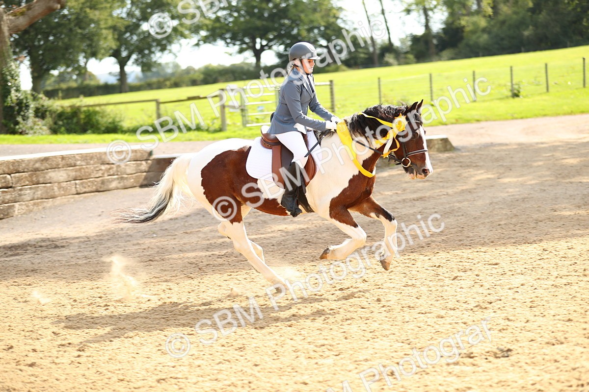 SBM_68042 - J17 - Junior Pony 80cm Championship