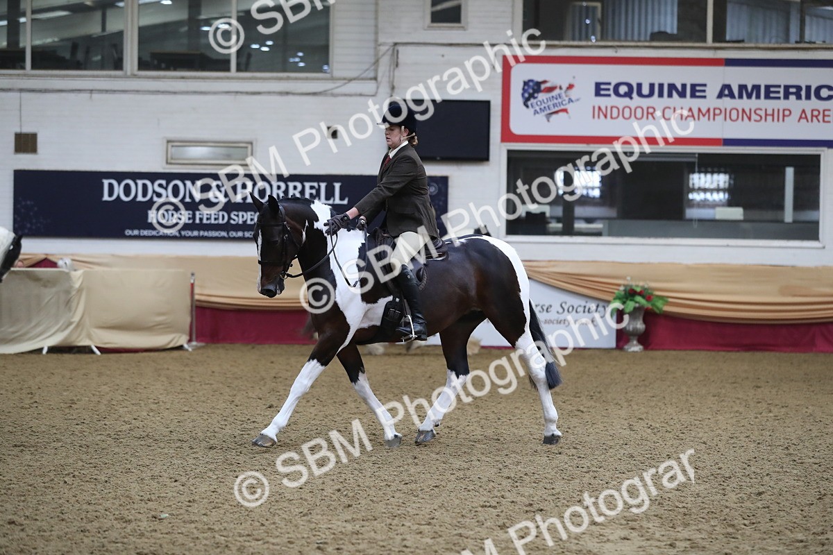 SBM_10404 - Class 102 Equitation (best rider) Adult