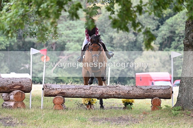 WJ6_0768 - XC Time 12:36 to 12:57