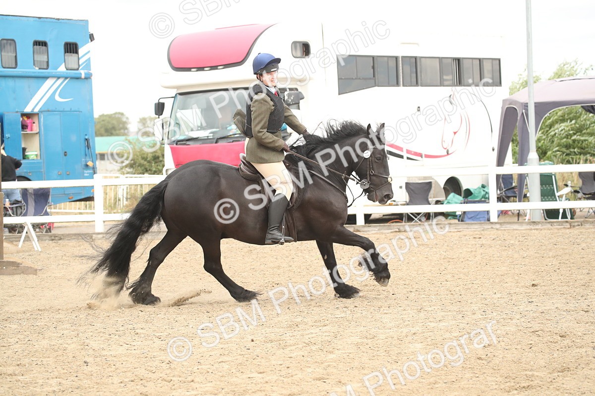 SBM_16642 - Class 507a - Working Veteran - 60cm (15-19)