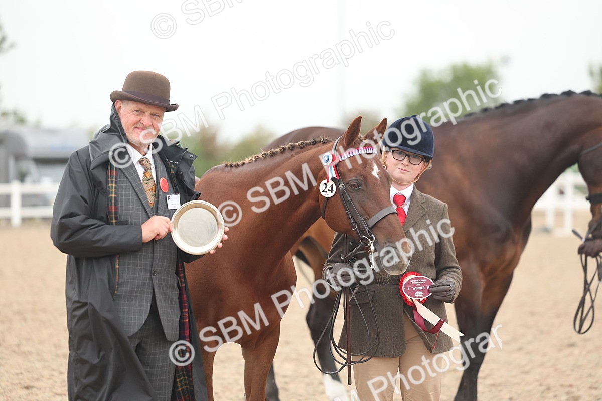SBM_19885 - Class 318 - IH Part Bred Horse-Pony