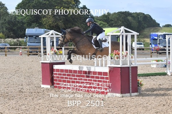 BPP_2501 - DERBY CLASS 7 - 80CM