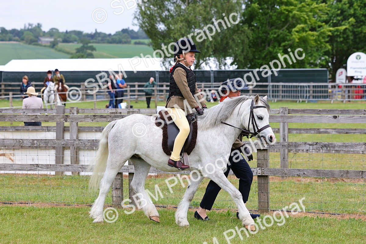 SBM_08087 - Class 42-43 - LIHS BSPS Heritage Working Sports Pony