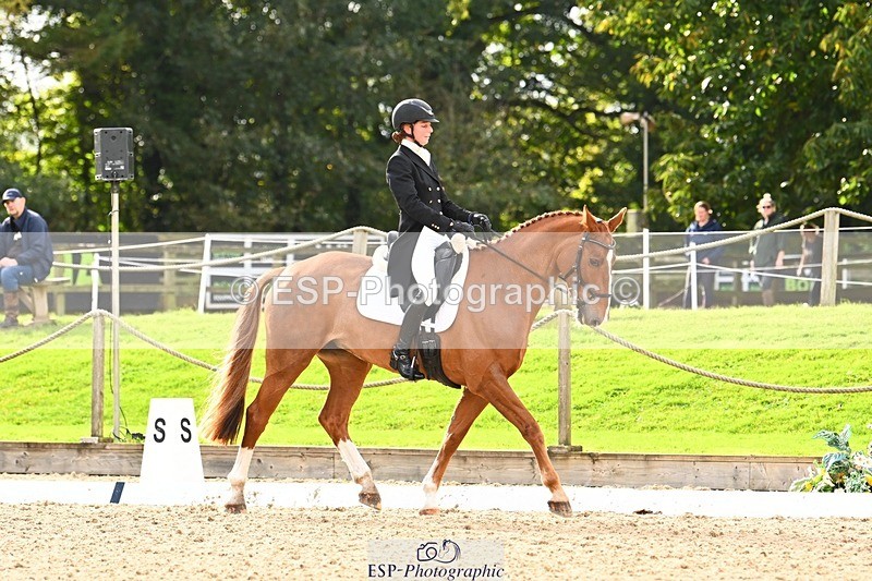 231020-144000-10006 - 309-CROSSTOWN.FINTANS.LAST-Catherine.Burrell-DR