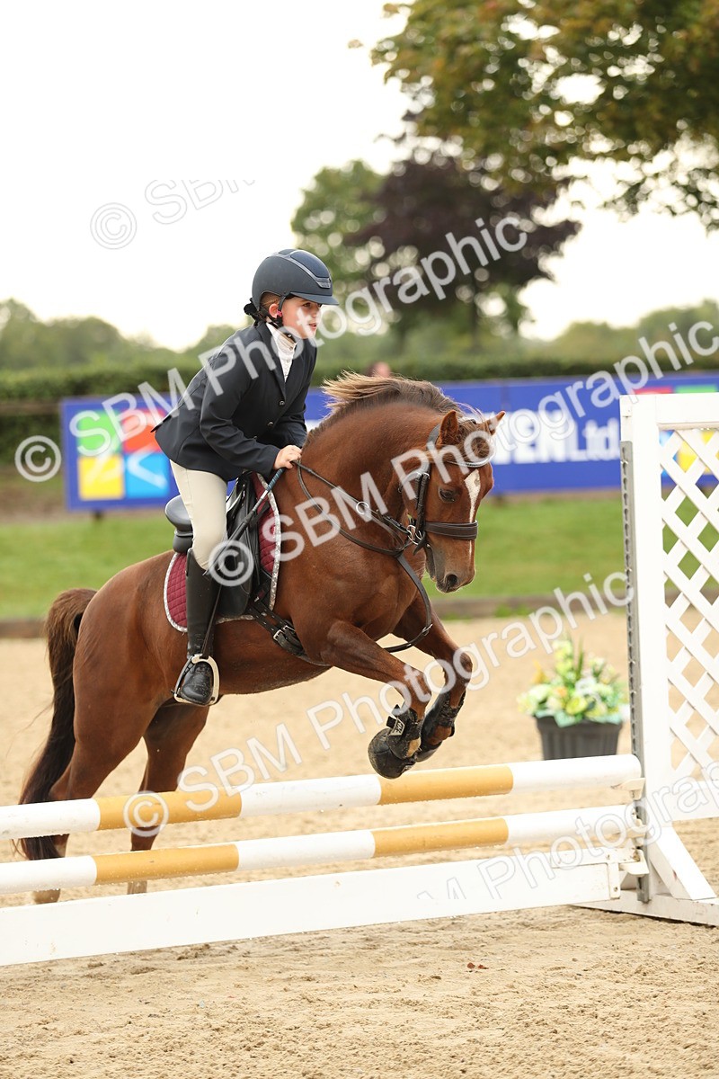 SBM_34229 - J60 Clear Round 50cm