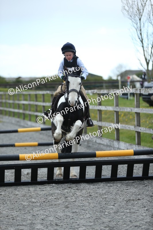 20260412-1837 - Show Jumping