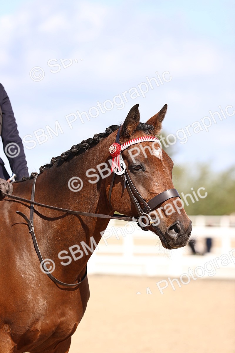 SBM_11633 - Class 408 - Grassroots Ridden - Walk & Trot