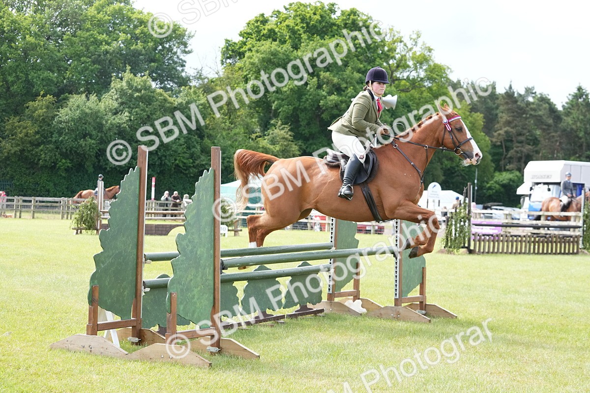SBM_12907 - Class 99 - RIHS SEIB Working Show Horse