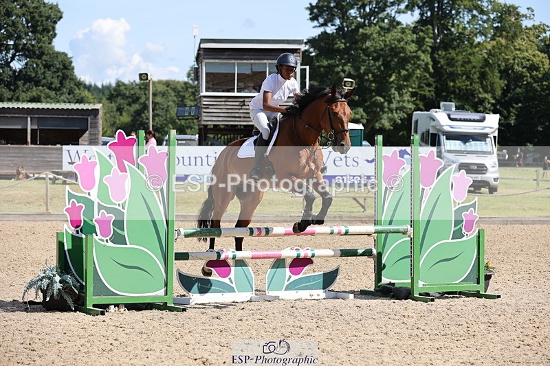 250703A-101130-00876 - Cls 6 Snr British Novice and 90cm Open