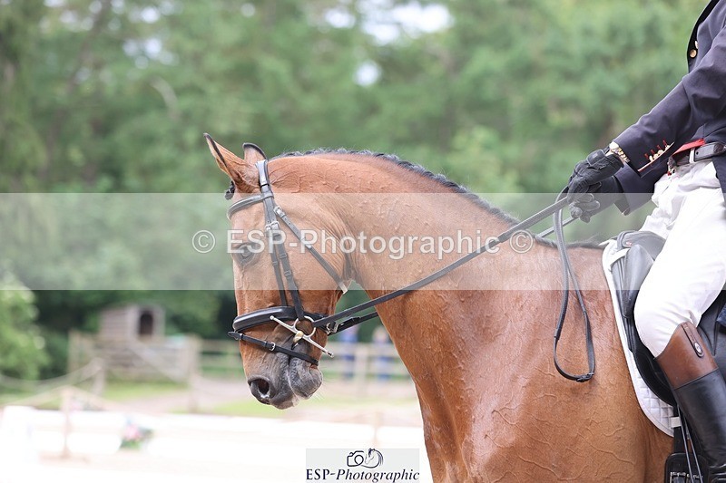 240524-104257-07485 - 264-BLS_ABSOLUTELY-William_Fox-Pitt