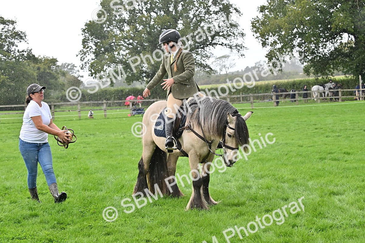 SBM_43015 - S12 - Family Horse & Pony
