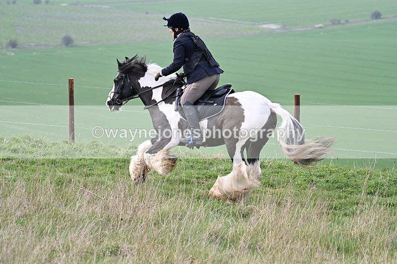 WJ7_8217 - Line 2 A camera