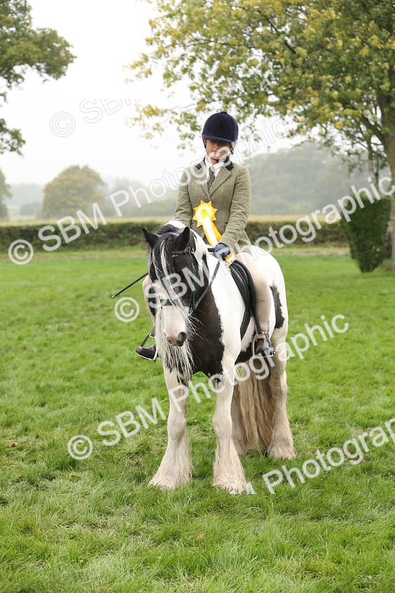 SBM_72866 - S70 - Traditional Cob Ridden