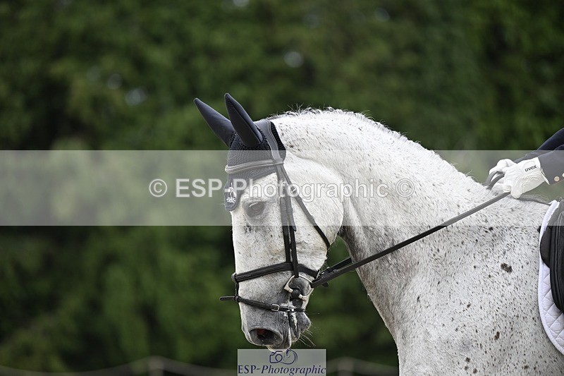 240523-143642-05057 - 433-EN_TARO_DES_VERNIER-Oliver_Townend