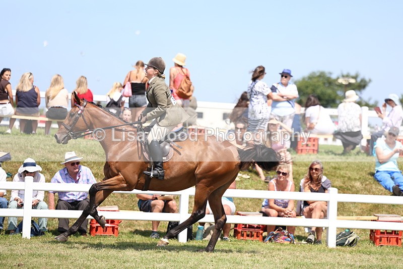 3E7A9372 - Class 12: Open Racehorse to Show Horse