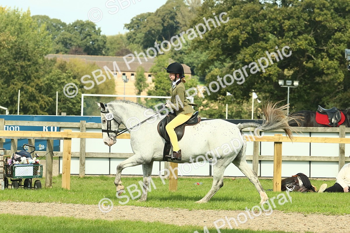 SBM_67548 - S56 - Coloured Pony Ridden