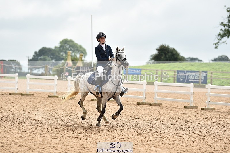 230902A-120830-00941 - Cls 2B Pony Small 80cm