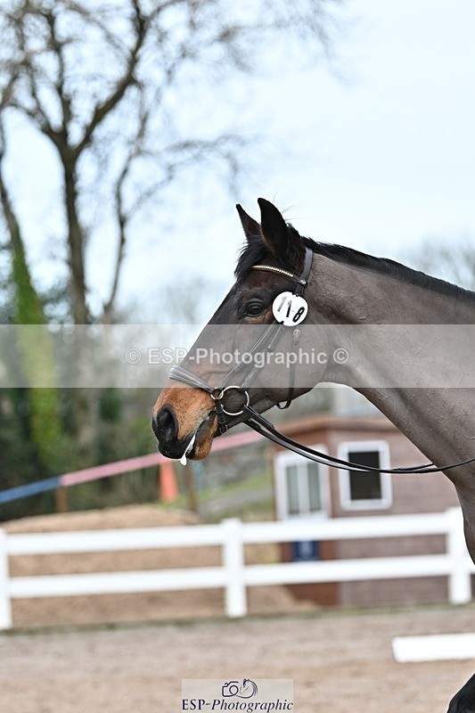 250125-141020-00773 - Dressage - CT Class 7 BE Novice 112