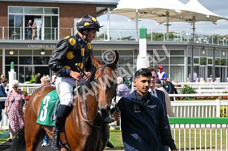 080825-Race 3-Bosom Pals-2231 - Race 3