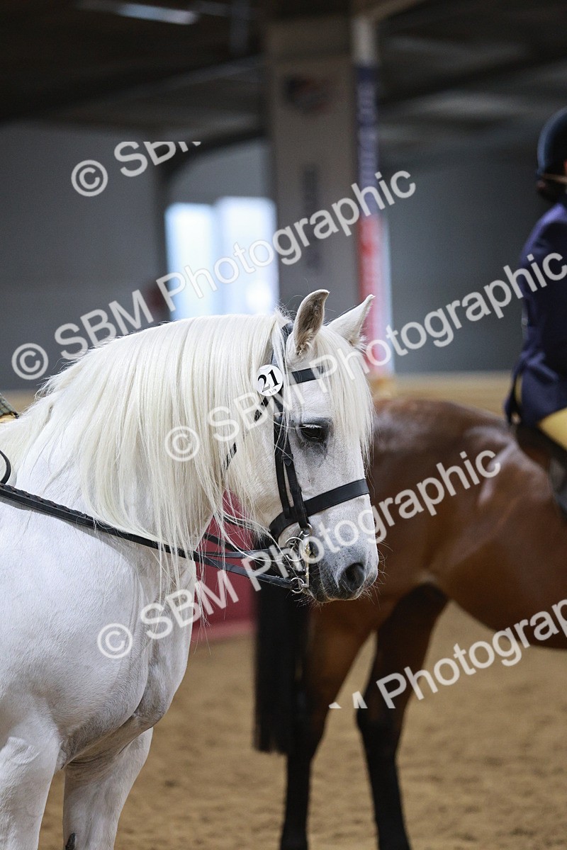 SBM_08077 - Class 11R - Regional Ridden Veteran