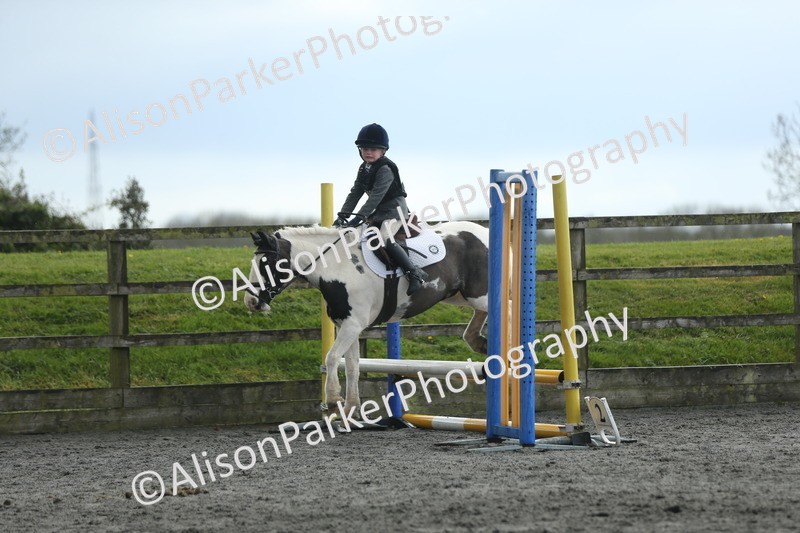 20260412-1949 - Show Jumping