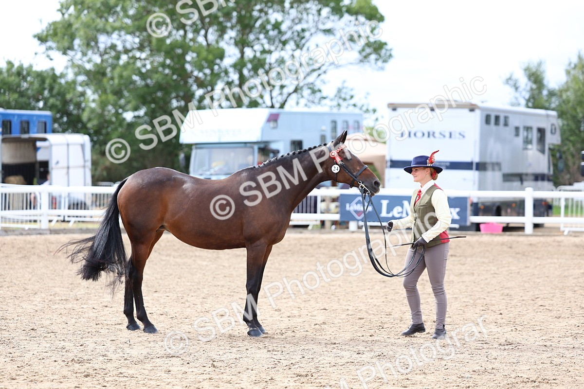SBM_03977 - Class 25 - IH Foreign Breeds - Pure Bred