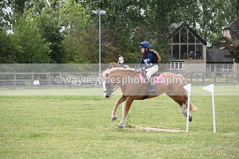 WJ6_6943 - 80cm XC Pairs