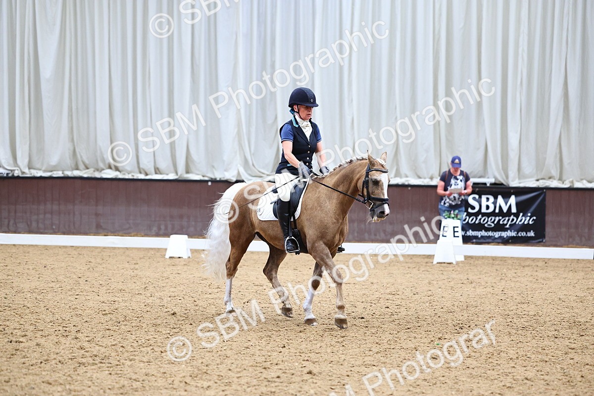 SBM_005566 - Elementary 2