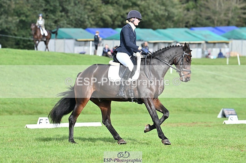 231020-111138-07809 - 645-COOLEY.CORPELLO-Francesca.Swallow-DR