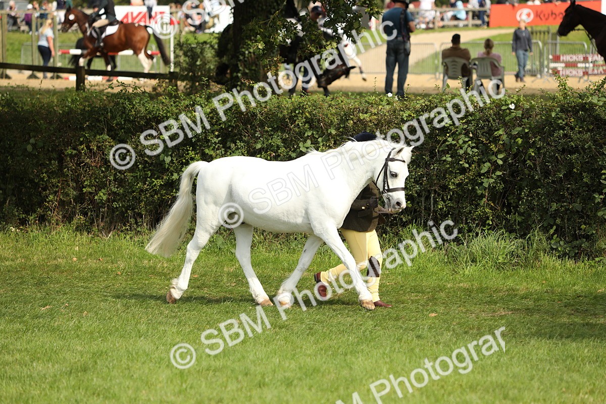 SBM_67722 - S39 - Junior Handler 8  Years & Under