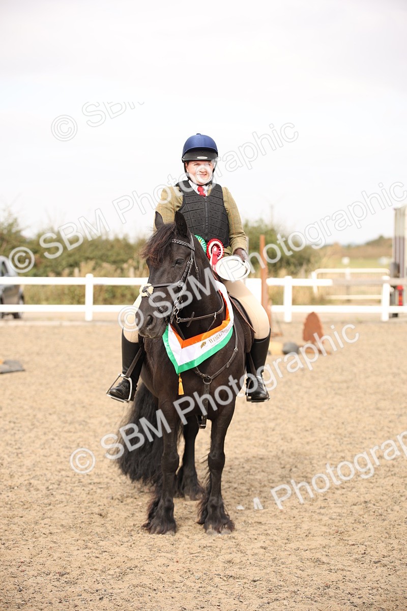 SBM_16237 - Class 409a - Working Veteran 80cm (15-19)