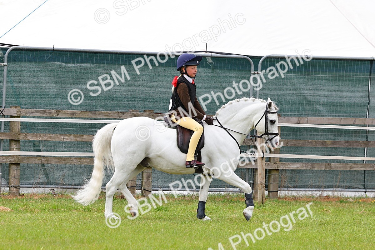 SBM_09574 - Class 44-45 - LIHS BSPS Open Nursery and Cradle Stakes