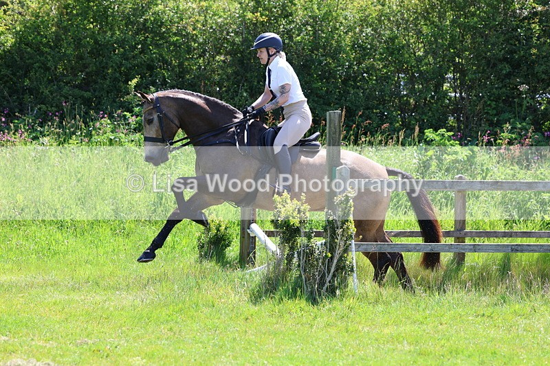 3E7A6938 - Class 30: Novice Working Hunter